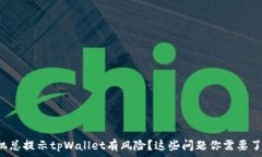   手机总提示tpWallet有风险？这些问题你需要了解