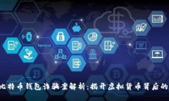  山东扣押比特币钱包诈骗案解析：揭开虚拟货币