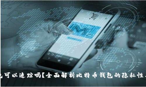 比特币钱包可以追踪吗？全面解析比特币钱包的隐私性与追踪技术