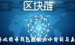  2023年比特币钱包数据大小分析与未来趋势