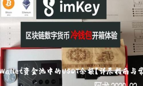 如何查看tpWallet资金池中的USDT余额？详尽指南与常见问题解答