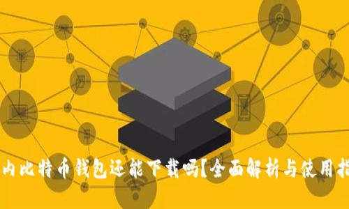 国内比特币钱包还能下载吗？全面解析与使用指南