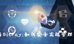 比特币钱包与BitPay：如何