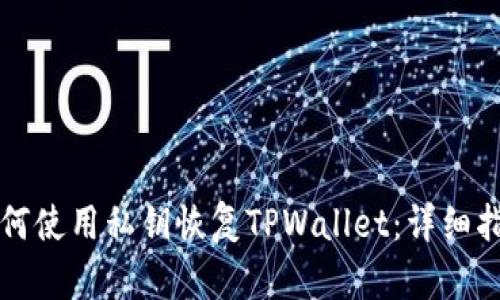如何使用私钥恢复TPWallet：详细指南