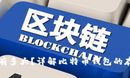 比特币钱包文件有多大？详解比特币钱包的存储要求与安全性