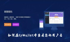 如何在tpWallet中查看您的用