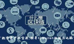 “数字资产的宝藏：探寻