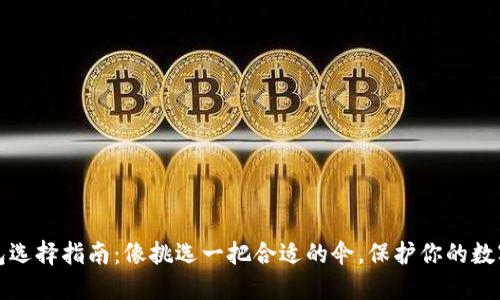 比特币钱包选择指南：像挑选一把合适的伞，保护你的数字资产无忧
