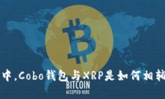 在数字货币的海洋中，C