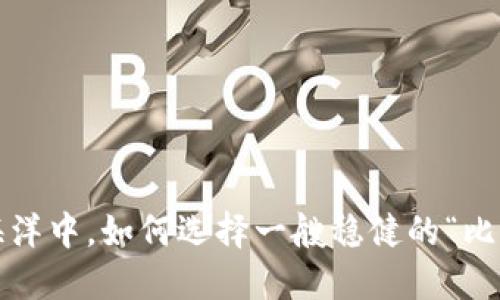 在数字货币的海洋中，如何选择一艘稳健的“比特币钱包”小船？