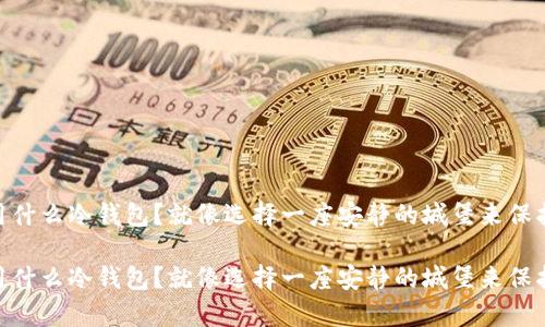 存放USDT用什么冷钱包？就像选择一座安静的城堡来保护你的财富！

存放USDT用什么冷钱包？就像选择一座安静的城堡来保护你的财富！