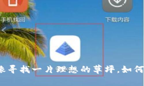 比特币钱包同步空间：就像寻找一片理想的草坪，如何让您的数字资产畅游其中