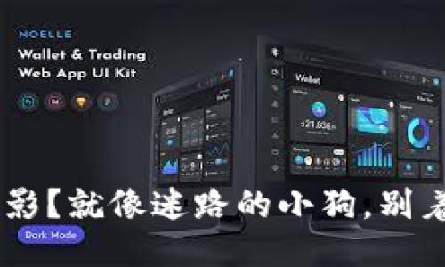 狗狗币钱包余额不见踪影？就像迷路的小狗，别着急，让我们一起找回它！