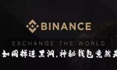: 狗狗币暴跌如同掉进黑洞