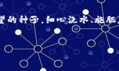 bias数字钱包的金库：保存
