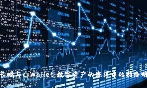 赵长鹏与tpWallet：数字资产的海洋中的指路明灯