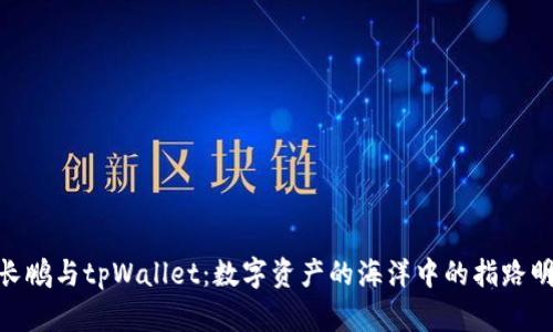 赵长鹏与tpWallet：数字资产的海洋中的指路明灯
