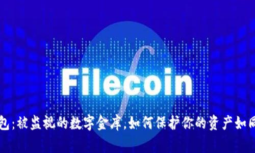 比特币钱包：被监视的数字金库，如何保护你的资产如同保卫家园