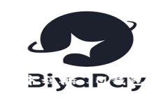 “在数字货币海洋中划船
