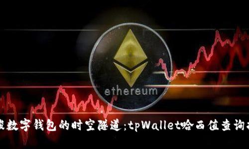 穿梭数字钱包的时空隧道：tpWallet哈西值查询指南